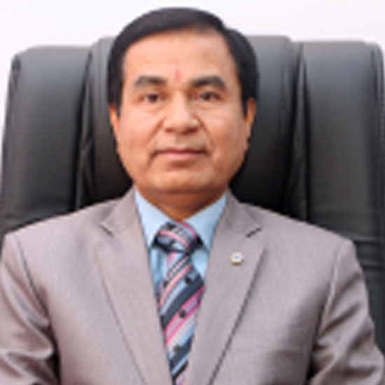 CEO Nepal Bank Ltd.