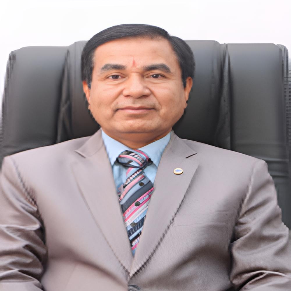 CEO Nepal Bank Ltd.