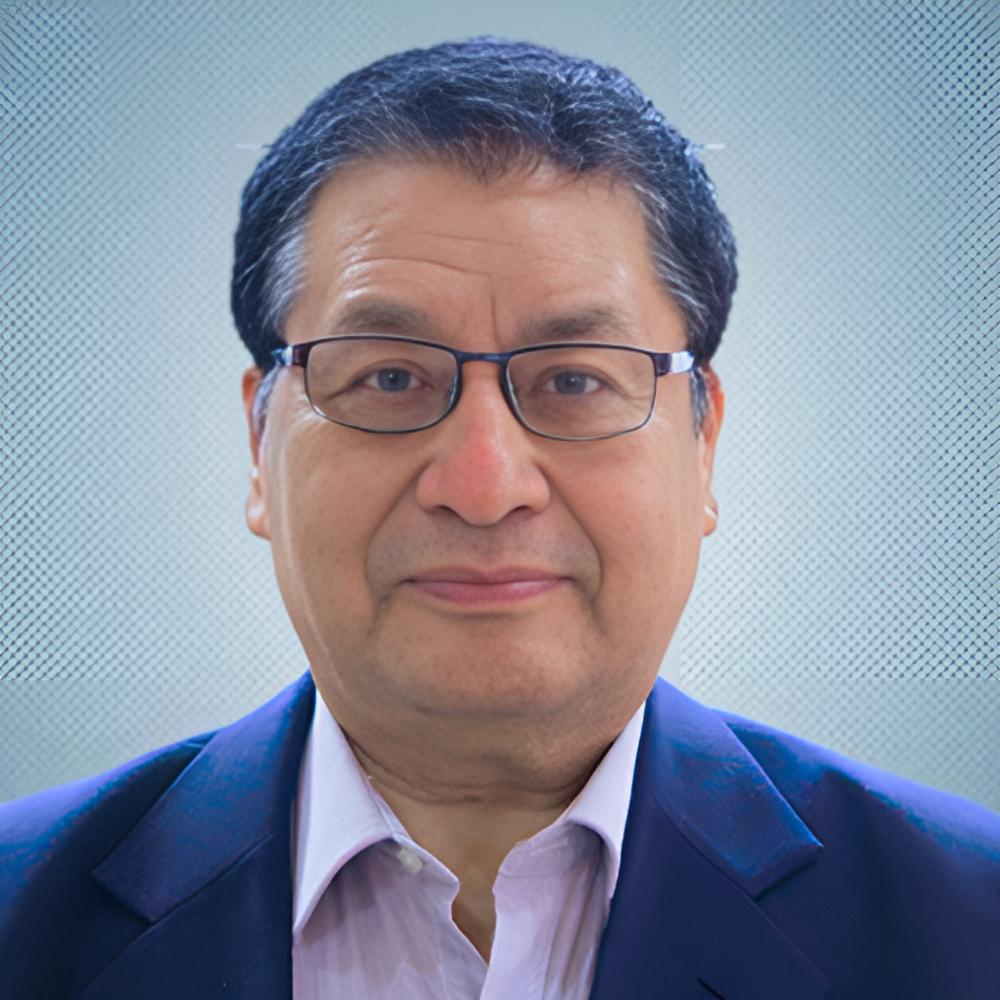 Chairman Narayani Development Bank Ltd.